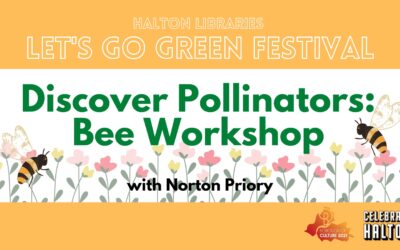 Discover Pollinators with Norton Priory